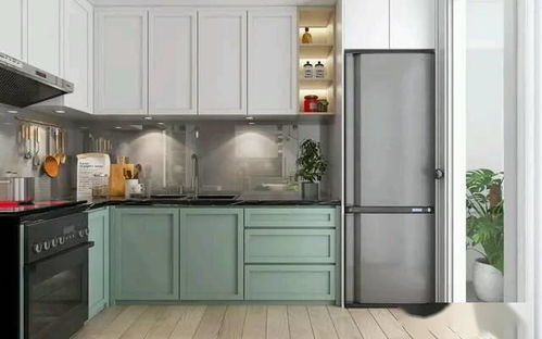 整体橱柜新风尚 拼色设计与灭菌锅炉功能的完美融合